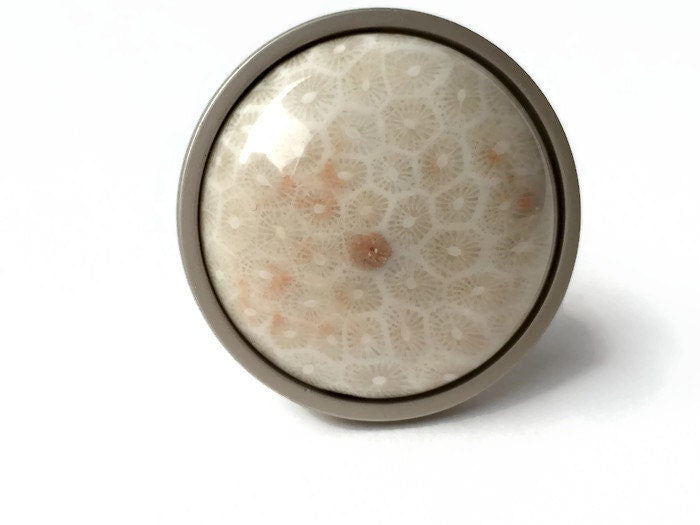 Coral Fossil Knob