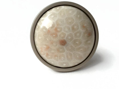 Coral Fossil Knob