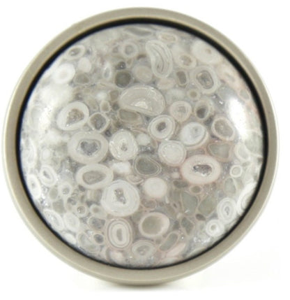 Sea Fossil Knob