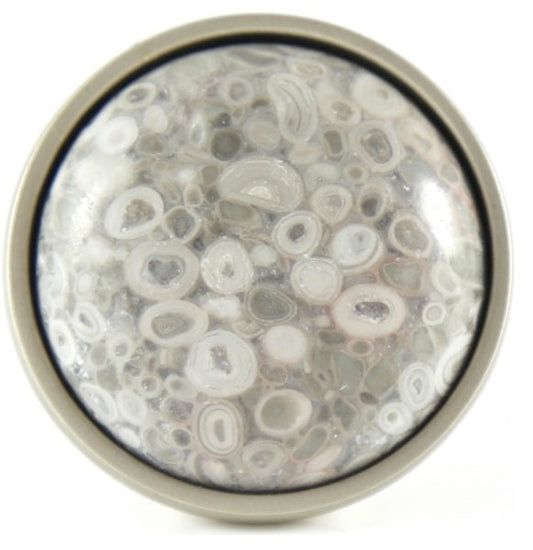 Sea Fossil Knob