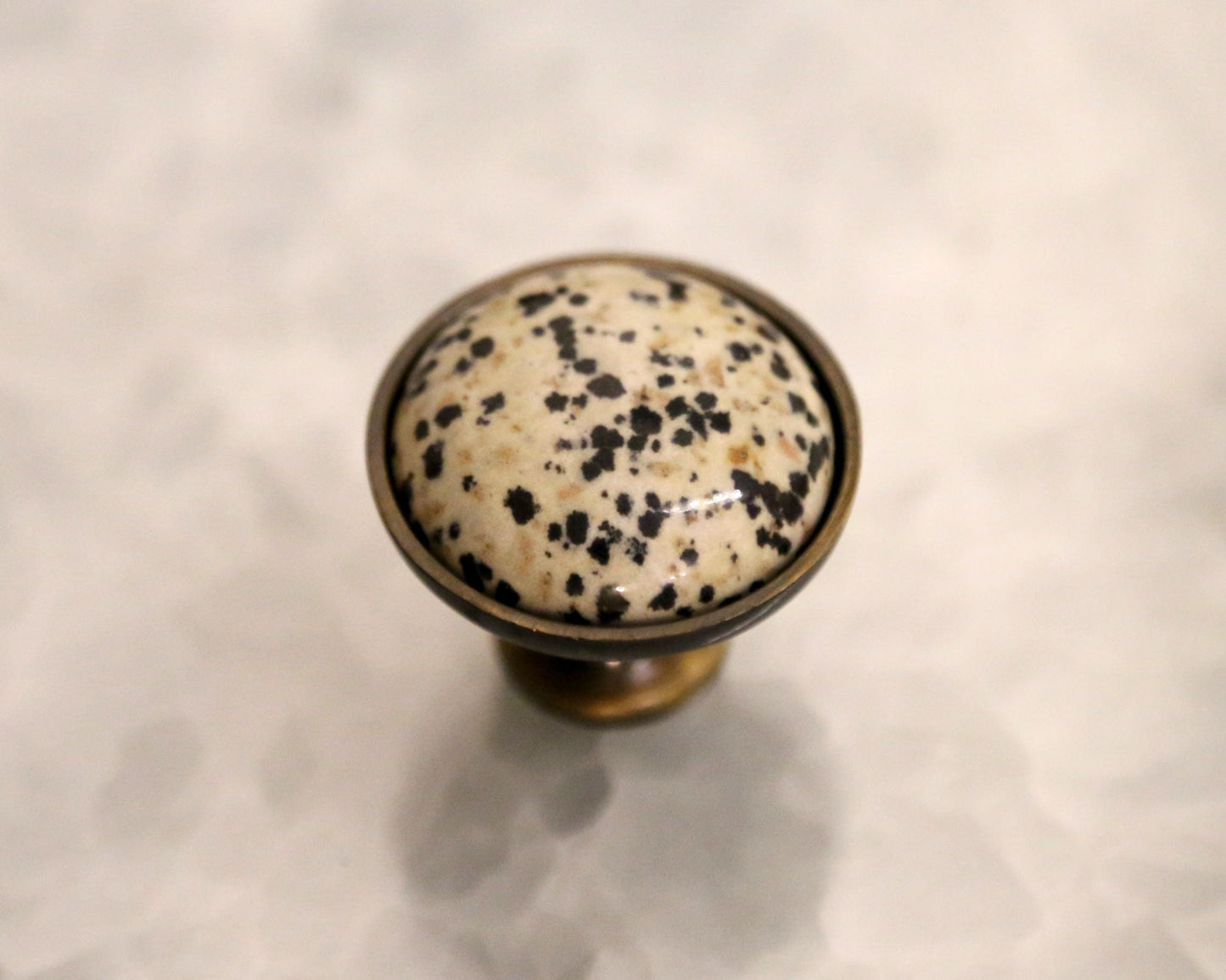 Dalmatian Knob