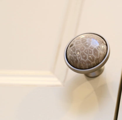 Coral Fossil Knob