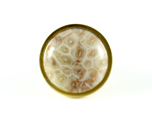 Coral Fossil Knob